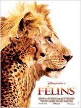 FELINS