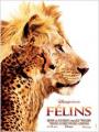 FELINS