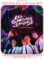 LES GARÇONS SAUVAGES